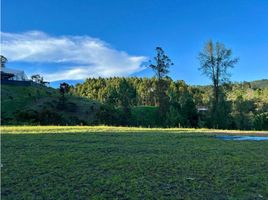  Land for sale in Rionegro, Antioquia, Rionegro