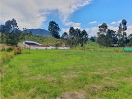  Terreno (Parcela) en venta en La Ceja, Antioquia, La Ceja