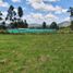  Land for sale in La Ceja, Antioquia, La Ceja