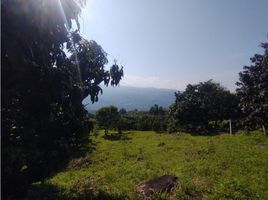  Terreno (Parcela) en venta en La Mesa, Cundinamarca, La Mesa