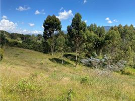  Land for sale in Retiro, Antioquia, Retiro