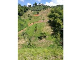  Land for sale in Manizales, Caldas, Manizales