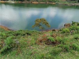  Land for sale in Retiro, Antioquia, Retiro