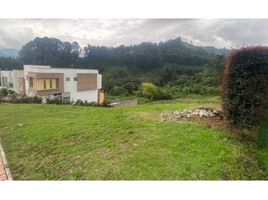  Land for sale in Manizales, Caldas, Manizales