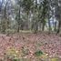  Land for sale in Guarne, Antioquia, Guarne, Antioquia