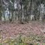  Land for sale in Guarne, Antioquia, Guarne, Antioquia