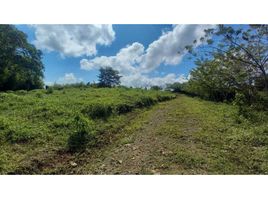Terrain à vendre à Pereira, Risaralda, Pereira, Risaralda