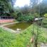 7 Schlafzimmer Haus zu verkaufen in Manizales, Caldas, Manizales, Caldas