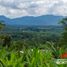  Grundstück zu verkaufen in Pereira, Risaralda, Pereira, Risaralda