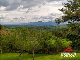  Grundstück zu verkaufen in Pereira, Risaralda, Pereira, Risaralda
