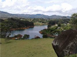  Terreno (Parcela) en venta en Guatape, Antioquia, Guatape