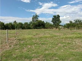  Land for sale in Cali, Valle Del Cauca, Cali