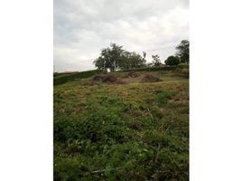  Land for sale in Manizales, Caldas, Manizales