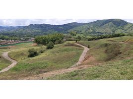  Land for sale in Manizales, Caldas, Manizales