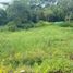  Land for sale in Manizales, Caldas, Manizales