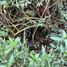  Land for sale in Rionegro, Antioquia, Rionegro