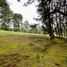  Land for sale in Rionegro, Antioquia, Rionegro