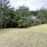  Land for sale in Rionegro, Antioquia, Rionegro