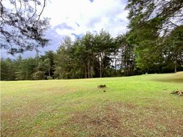  Land for sale in Rionegro, Antioquia, Rionegro