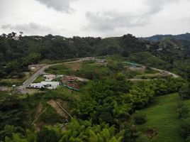  Land for sale in Manizales, Caldas, Manizales