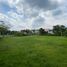  Land for sale in Jamundi, Valle Del Cauca, Jamundi