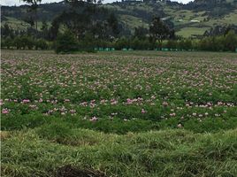 Estudio Villa en venta en Sesquile, Cundinamarca, Sesquile