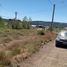  Land for sale in Neuquen, Lacar, Neuquen