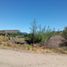  Land for sale in Neuquen, Lacar, Neuquen