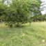  Land for sale in Tolima, Purificacion, Tolima