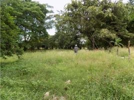  Land for sale in Tolima, Purificacion, Tolima