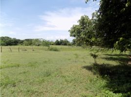  Land for sale in Tolima, Purificacion, Tolima