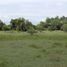  Land for sale in Purificacion, Tolima, Purificacion