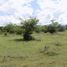  Land for sale in Purificacion, Tolima, Purificacion