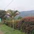  Land for sale in Manizales, Caldas, Manizales