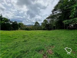  Terreno (Parcela) en venta en La Ceja, Antioquia, La Ceja