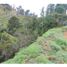 Terrain à vendre à Penol, Antioquia, Penol