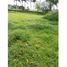  Land for sale in Colombia, Huila, Colombia