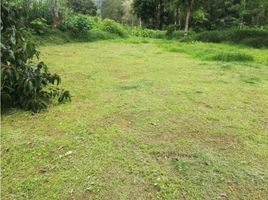  Land for sale in Colombia, Huila, Colombia