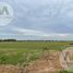  Land for sale in Chascomus, Buenos Aires, Chascomus