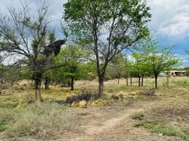  Grundstück zu verkaufen in Punilla, Cordoba, Punilla, Cordoba