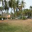  Land for sale in San Blas, Nayarit, San Blas