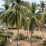  Terrain for sale in San Blas, Nayarit, San Blas