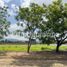  Land for sale in Amatitan, Jalisco, Amatitan