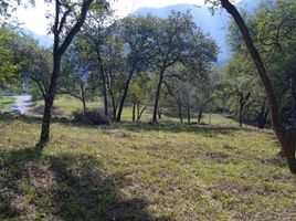  토지을(를) Montemorelos, 누에 보 레온에서 판매합니다., Montemorelos