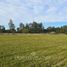  Terrain for sale in Villarrica, Cautin, Villarrica