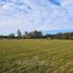  Terrain for sale in Villarrica, Cautin, Villarrica