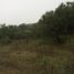  Land for sale in Colon, Cordoba, Colon