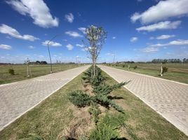  Grundstück zu verkaufen in Rosario, Santa Fe, Rosario