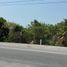  Land for rent in Chicxulub Pueblo, Yucatan, Chicxulub Pueblo