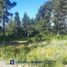  Land for sale in Rio Negro, Bariloche, Rio Negro